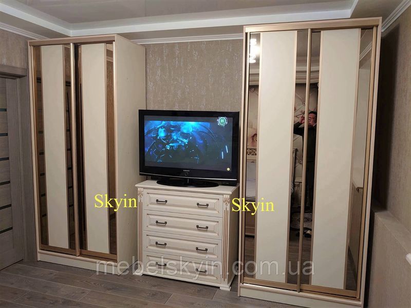 Шкаф купе с комбинированными фасадами комб.21 1814216628 фото
