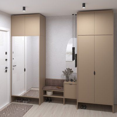 Передпокій з шафами для одягу Рейн-6 меблі Skyin 10374 фото