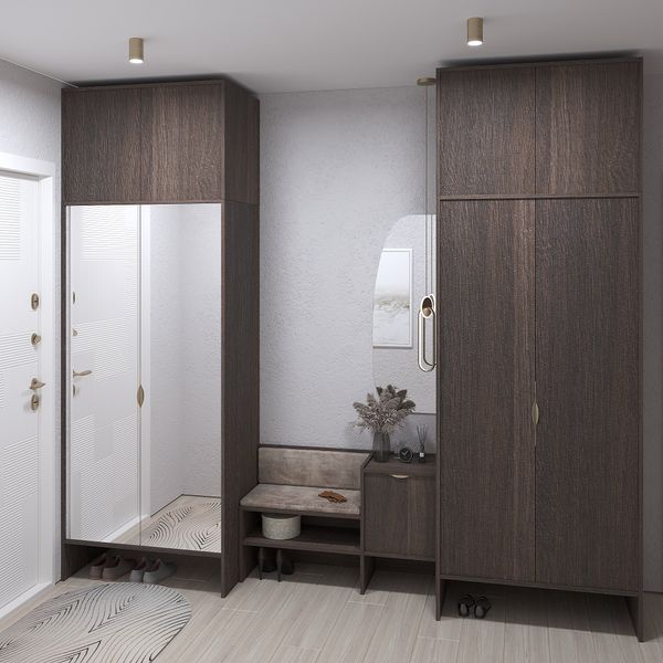 Передпокій з шафами для одягу Рейн-6 меблі Skyin 10374 фото