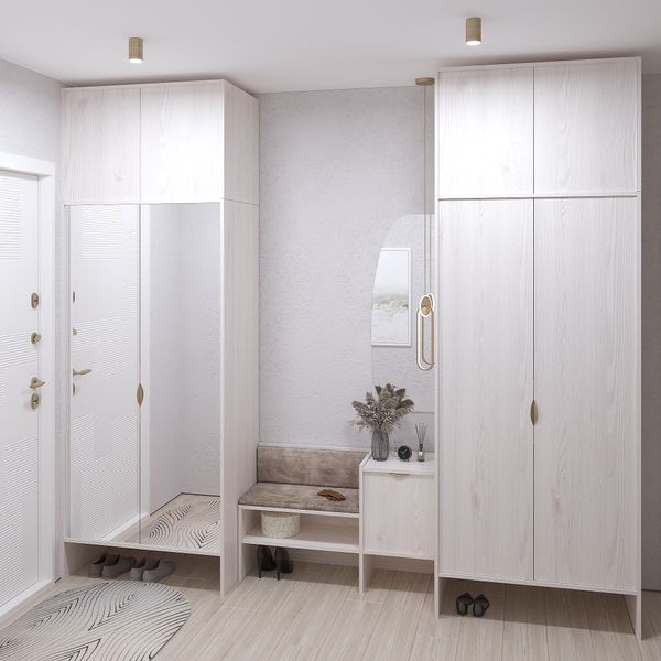 Передпокій з шафами для одягу Рейн-6 меблі Skyin 10374 фото