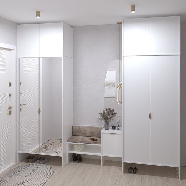 Передпокій з шафами для одягу Рейн-6 меблі Skyin 10374 фото