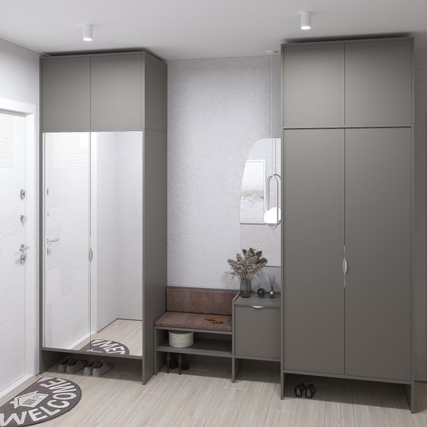 Передпокій з шафами для одягу Рейн-6 меблі Skyin 10374 фото